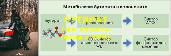 сатива Белокуриха